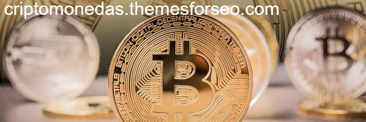 criptomonedas.themesforseo.com